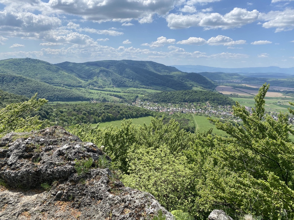 Humenné – 1.080 m2 ORNÁ PÔDA a LESY
