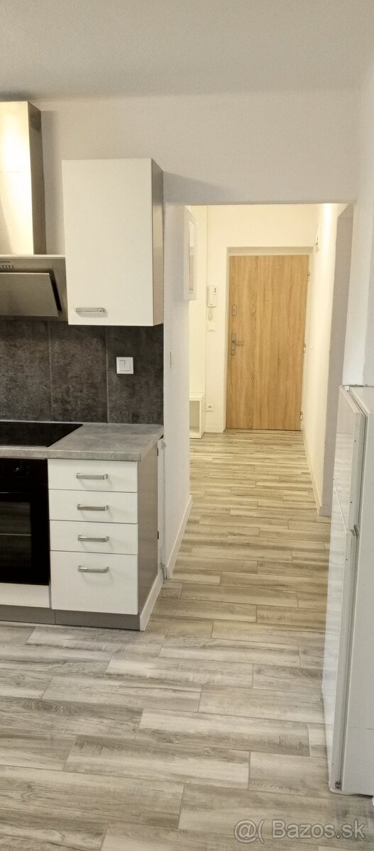 Veľký 2 izbový byt