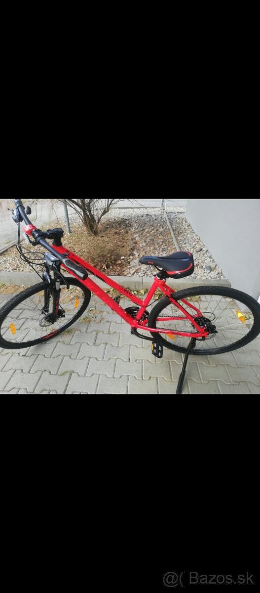 Kellys CLEA 70 RED