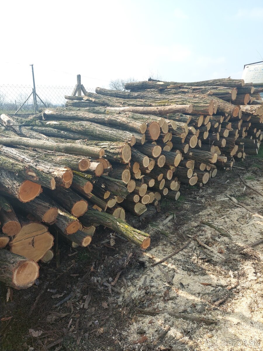 Agatove stĺpy,koly