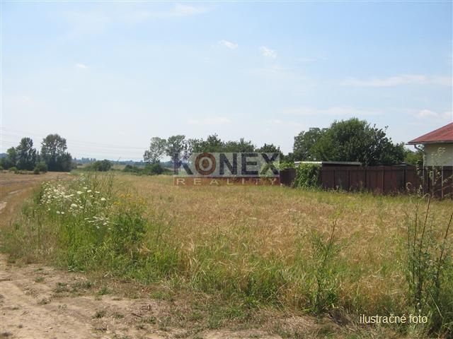 Predaj ORNEJ PÔDY – Michalovce, Stráňany