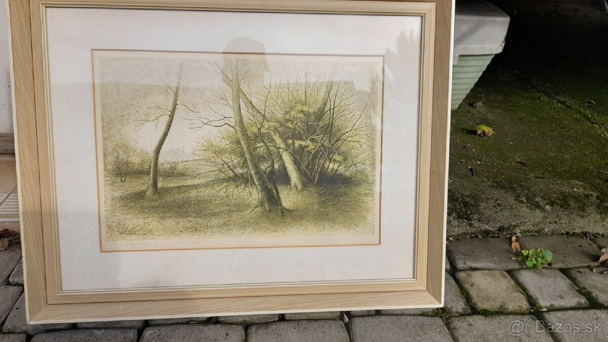 obraz krajinka Anna Hanzlova