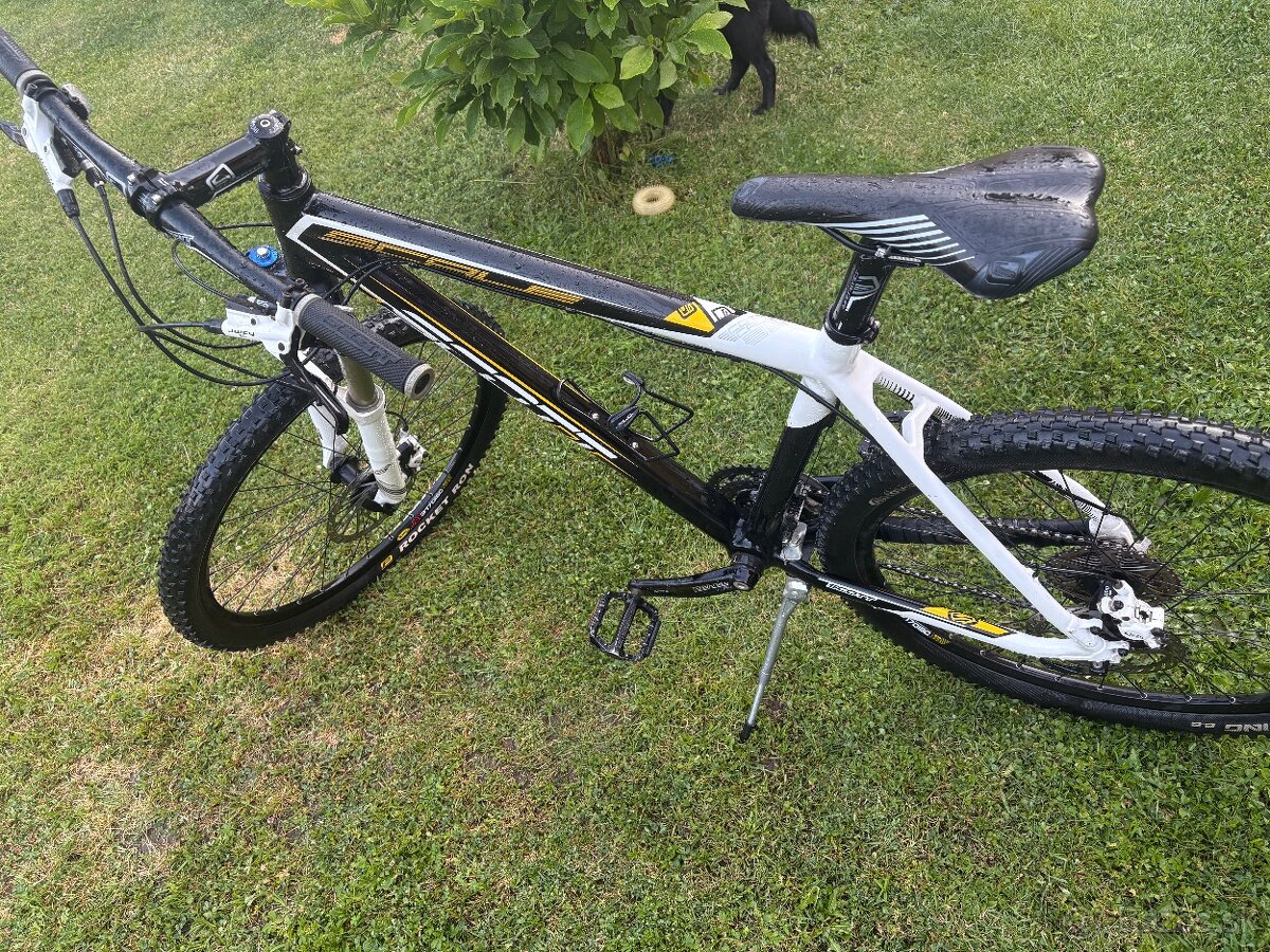 Scott Scale 35 carbon