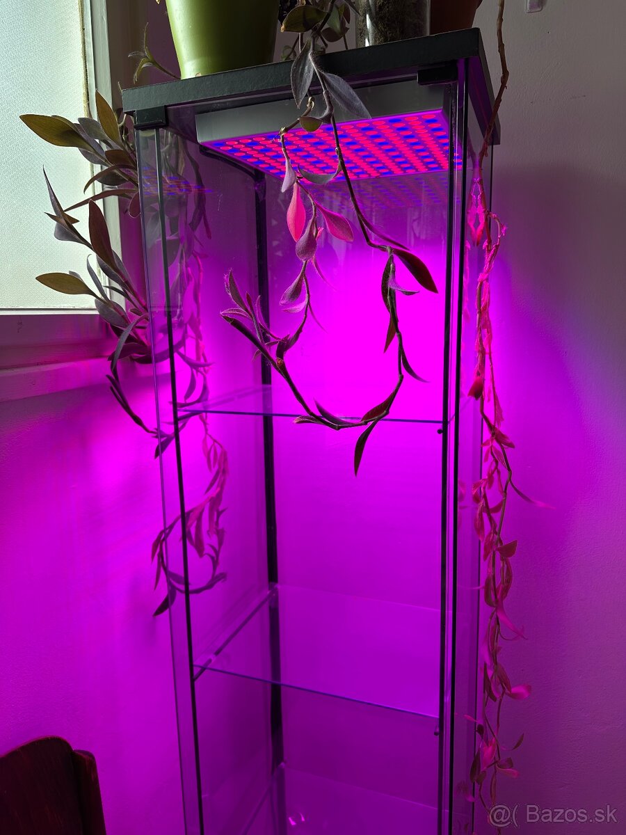 Grow light LED vitrina