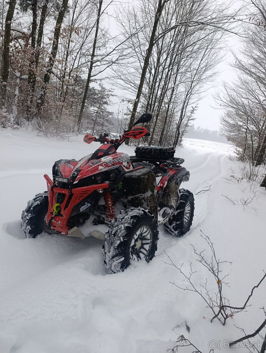 Can am renegade 650xxc