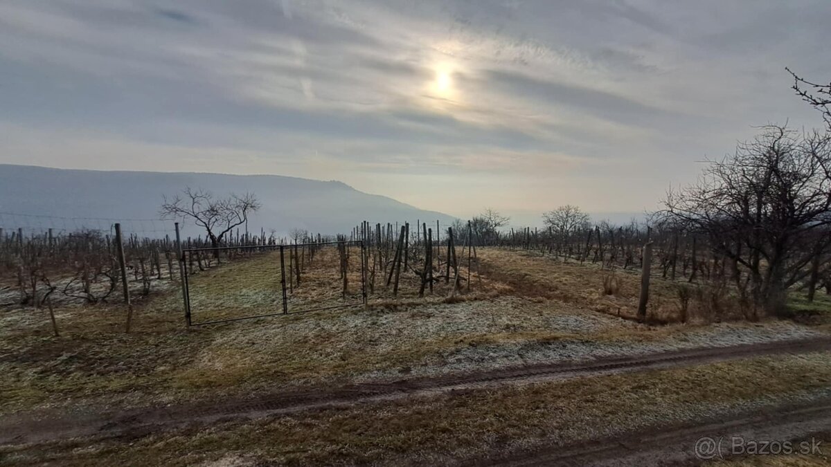 pozemok vinohrad Hrušov