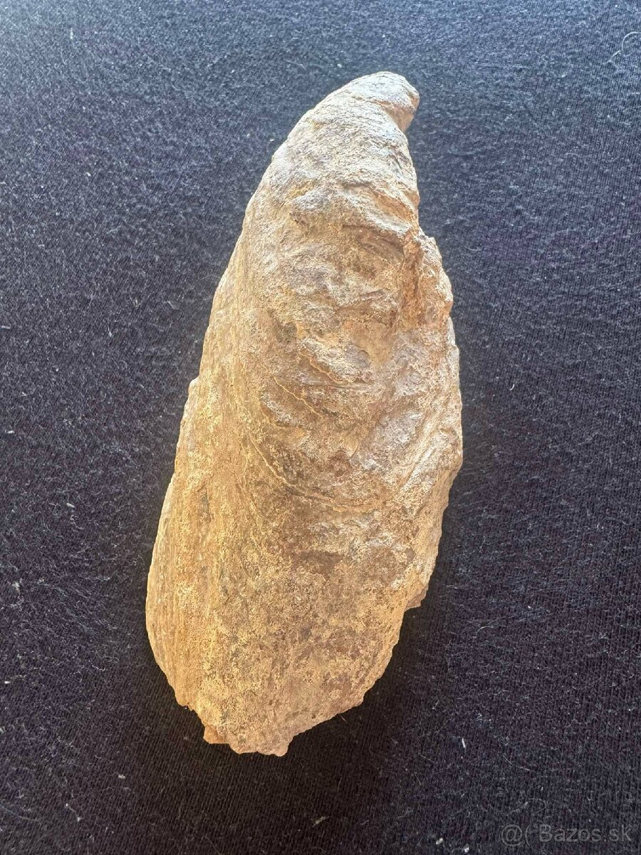 skamenelina meste korýtko