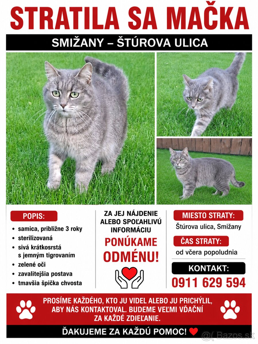 Stratila sa nám mačka