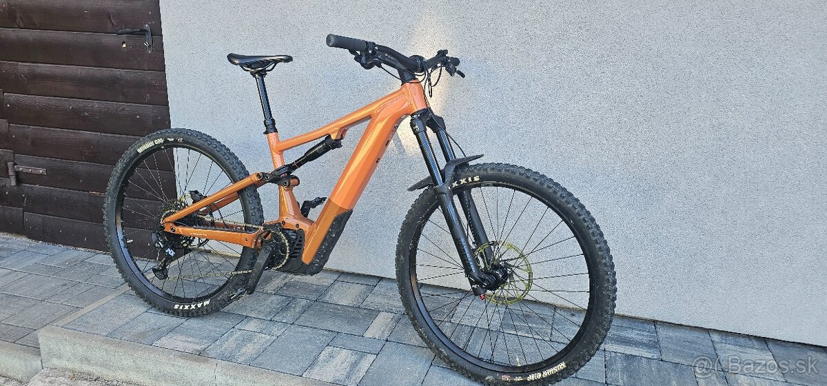 FOCUS SAM2 29" M