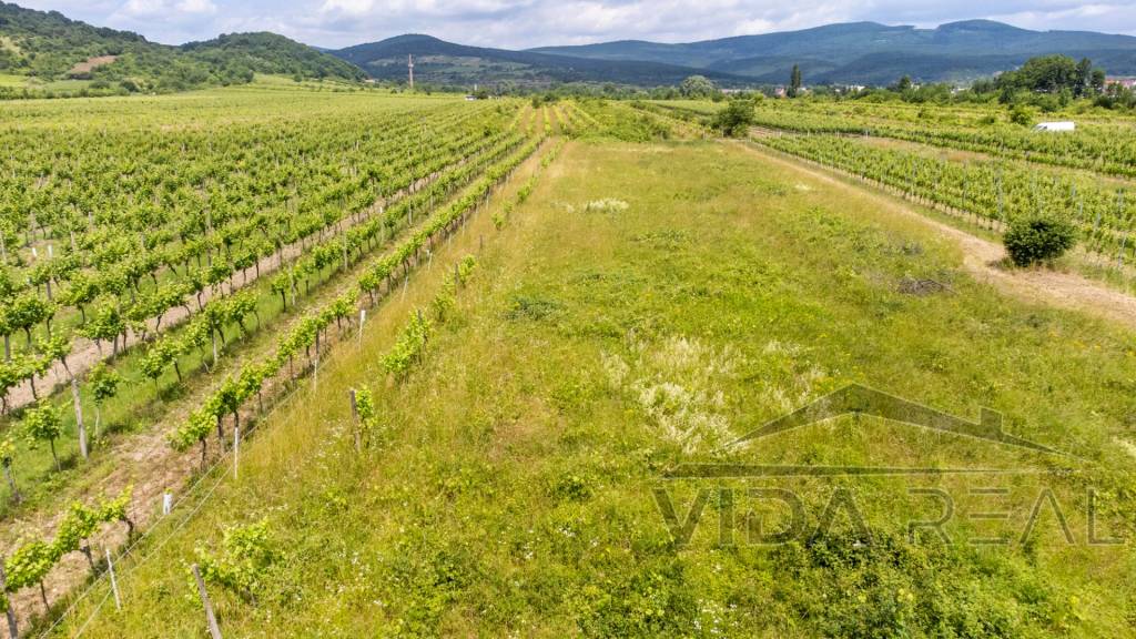 Pozemok s veľkým potenciálom v Pezinku s výmerou až 5190 m2