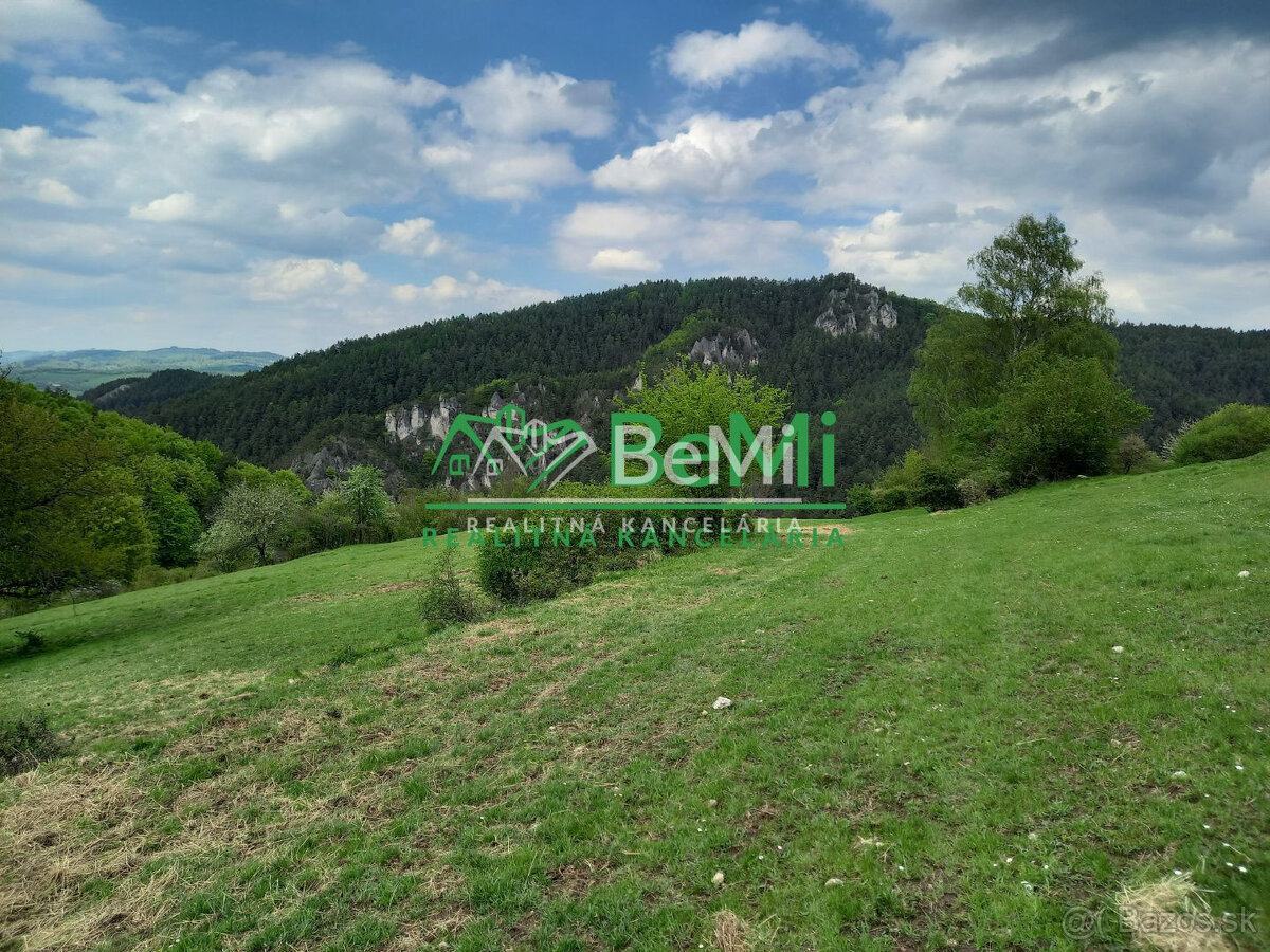 Predaj, pozemky, obec Paština Závada, Žilina (066-14-BOC)