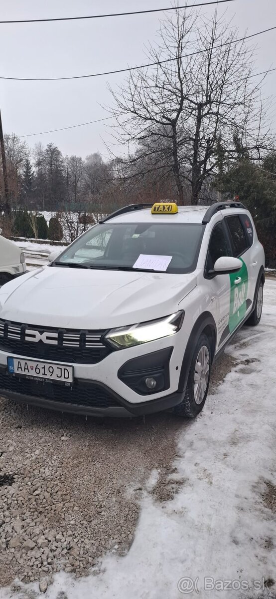 Šofér taxislužby/Bolt
