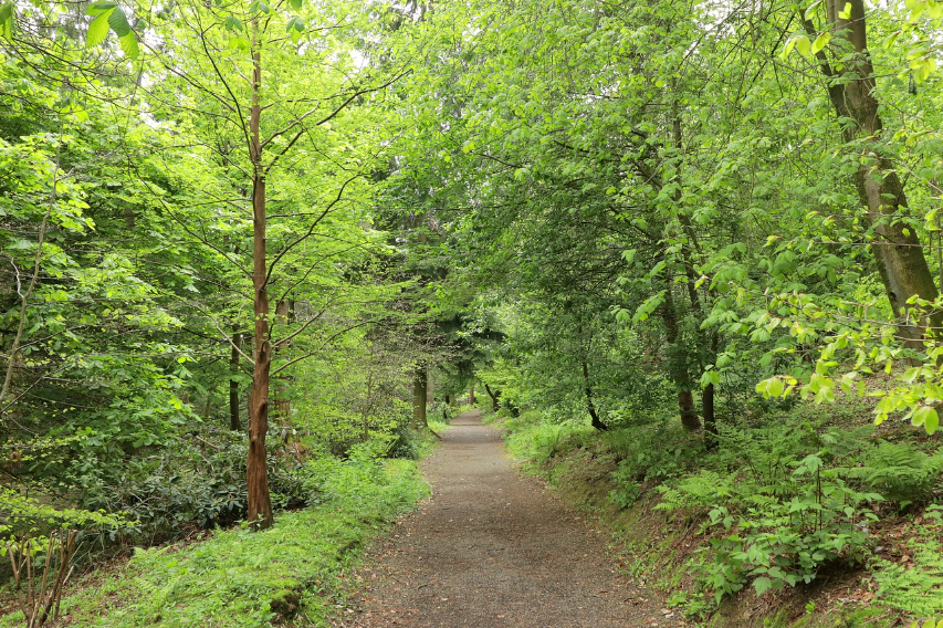 Babin Potok – 1.500 m2 LES