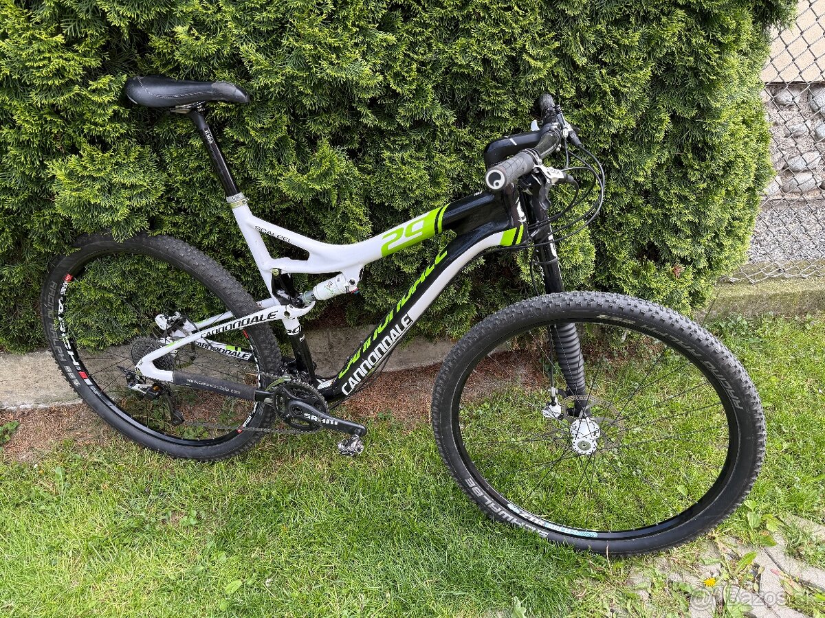 Predam Cannondale Scalpel