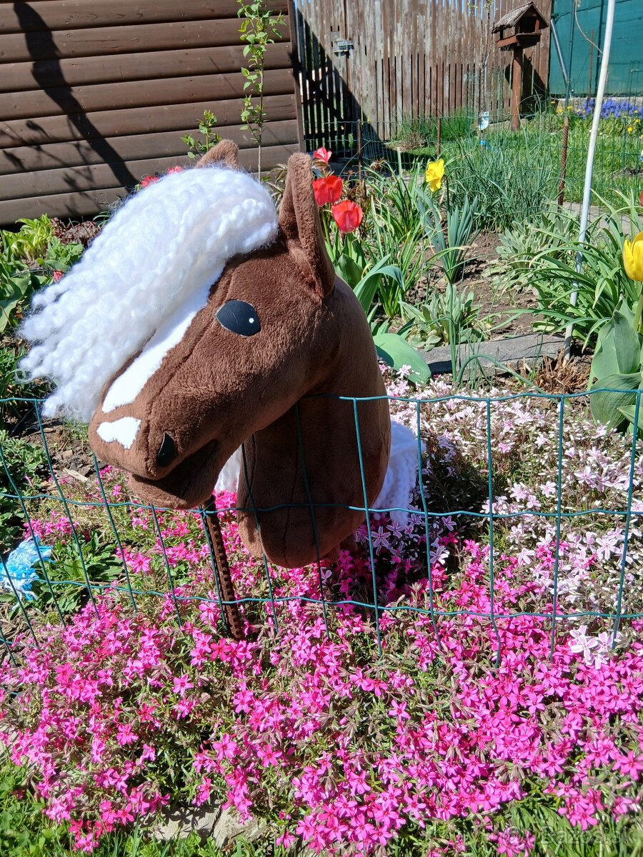 Hobby horse