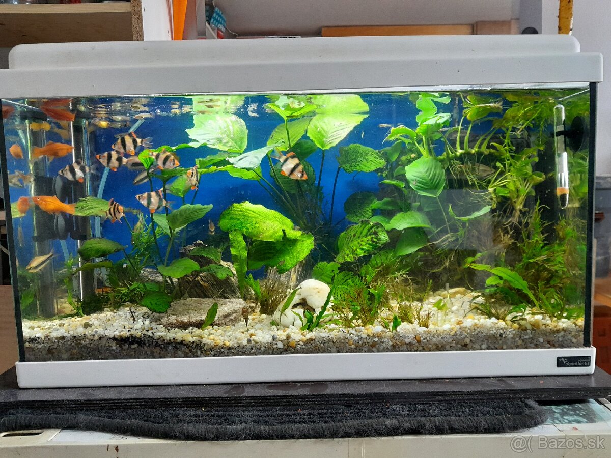 Akvarium 60x30x30
