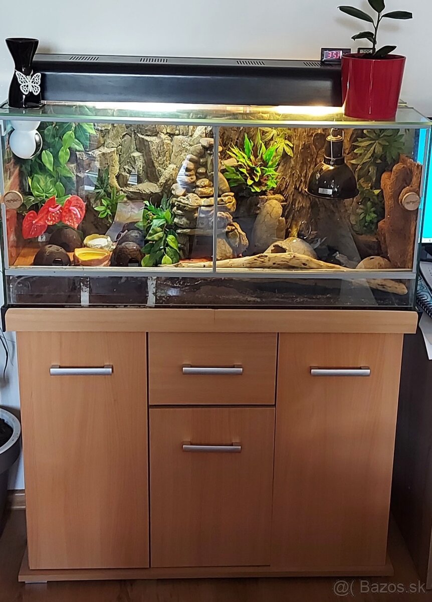 Terarium