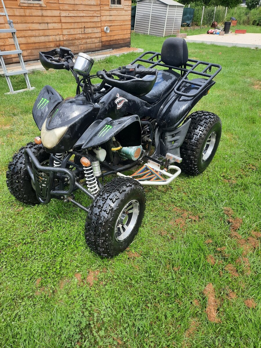 Eagle lyda 203 Tp spz
