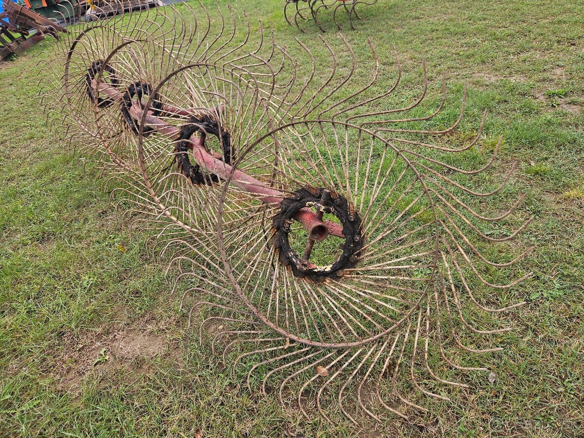 Slniečková hrabačka