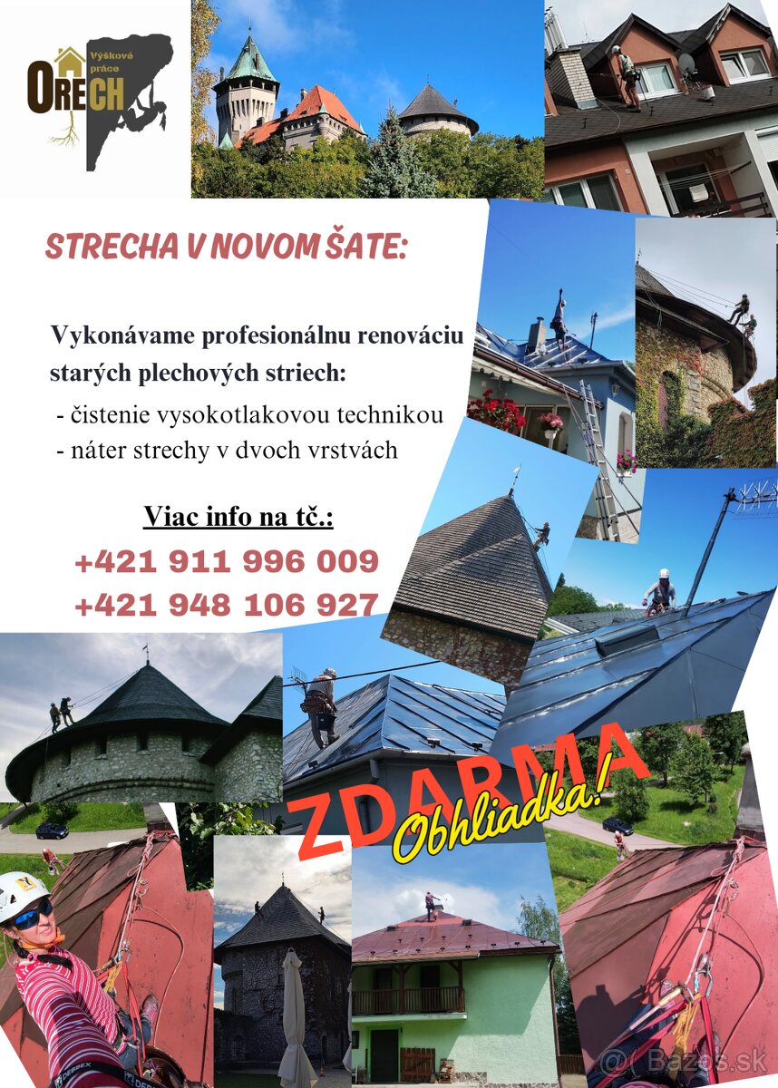NÁTERY STRIECH/Natieranie/Pílenie stromov
