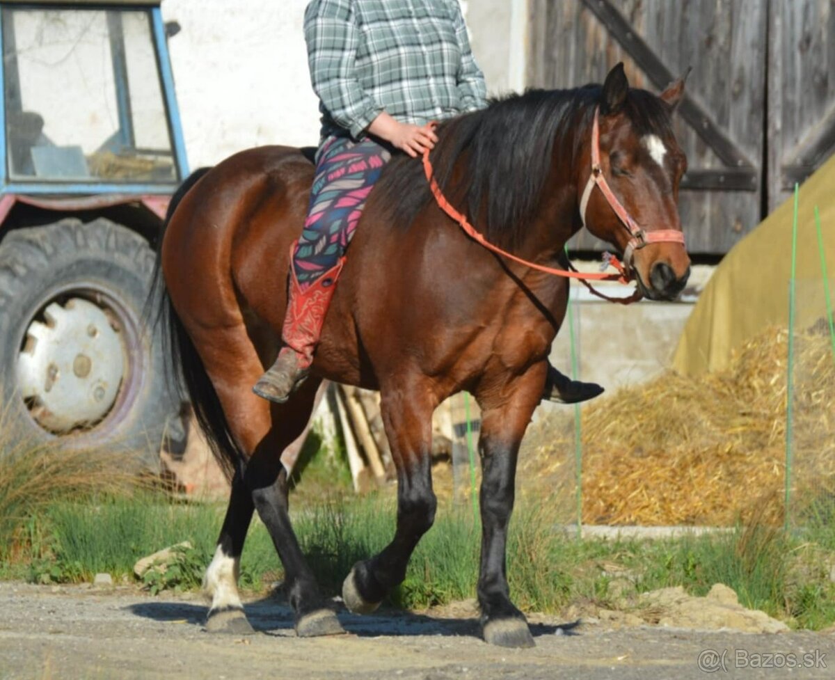 Prenájom