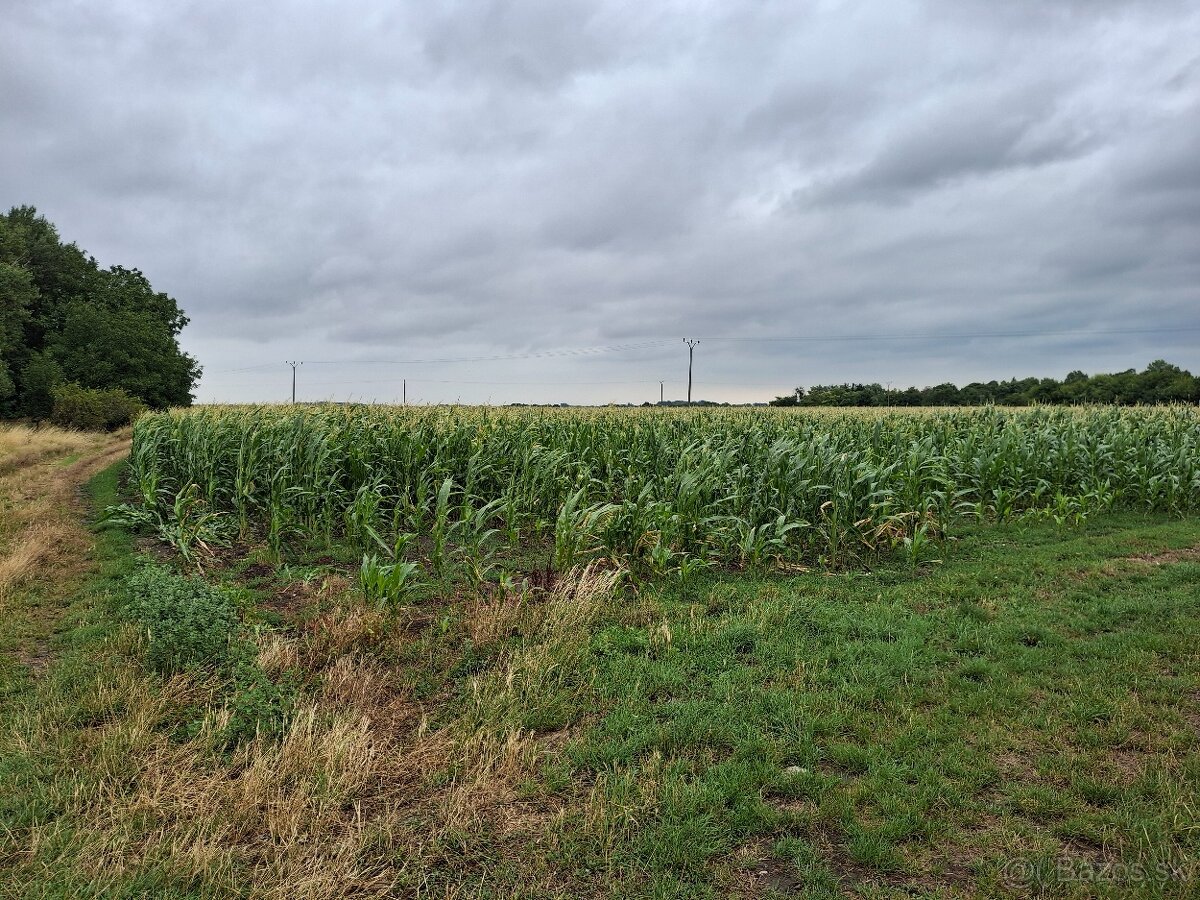 Výnimočná príležitosť-160 ha orná pôda, okr. R.Sobota