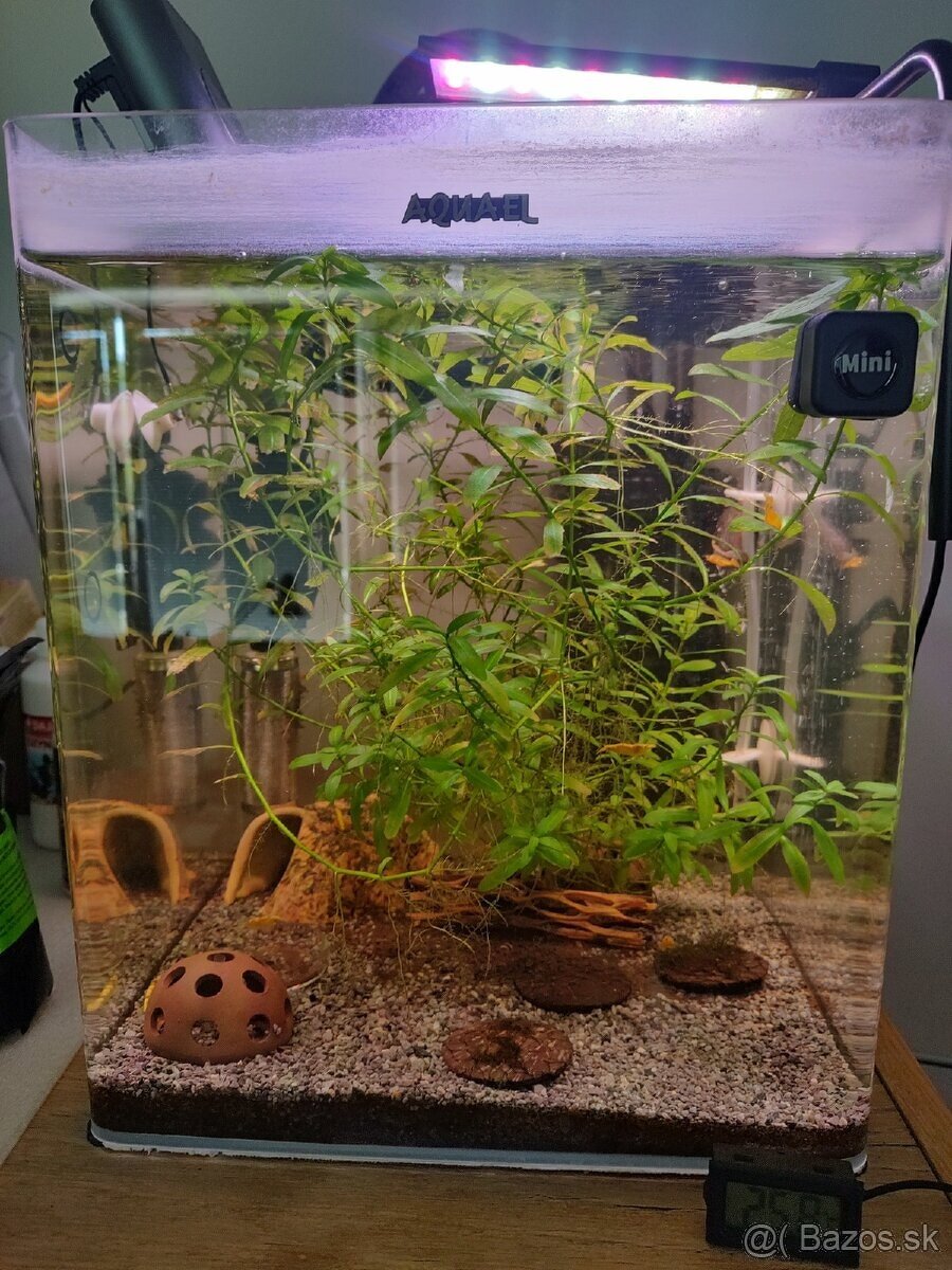 AquaEl akváriová súprava OptiBent 30 čierna 29 l