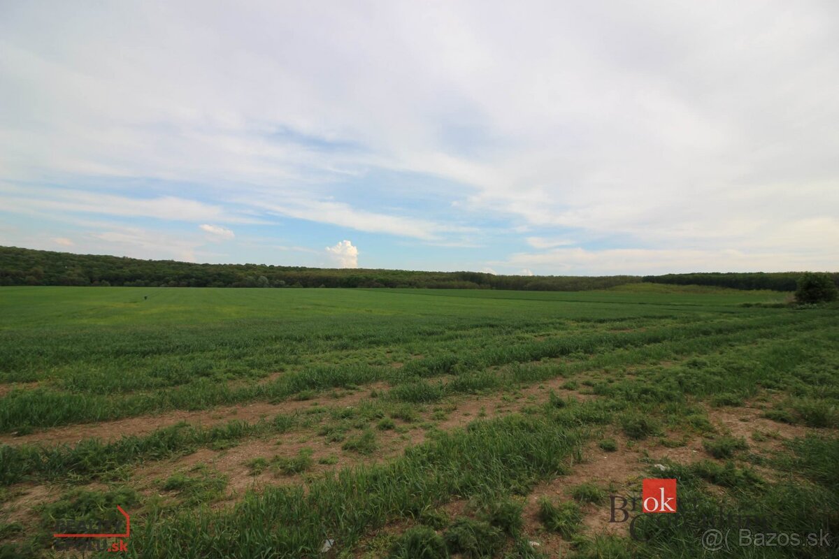 Na predaj pozemok na Vrábeľskej ulici, Nitra