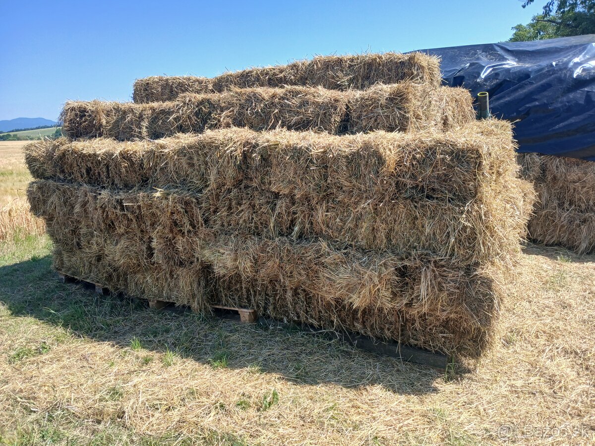 Predám malé balíky sena