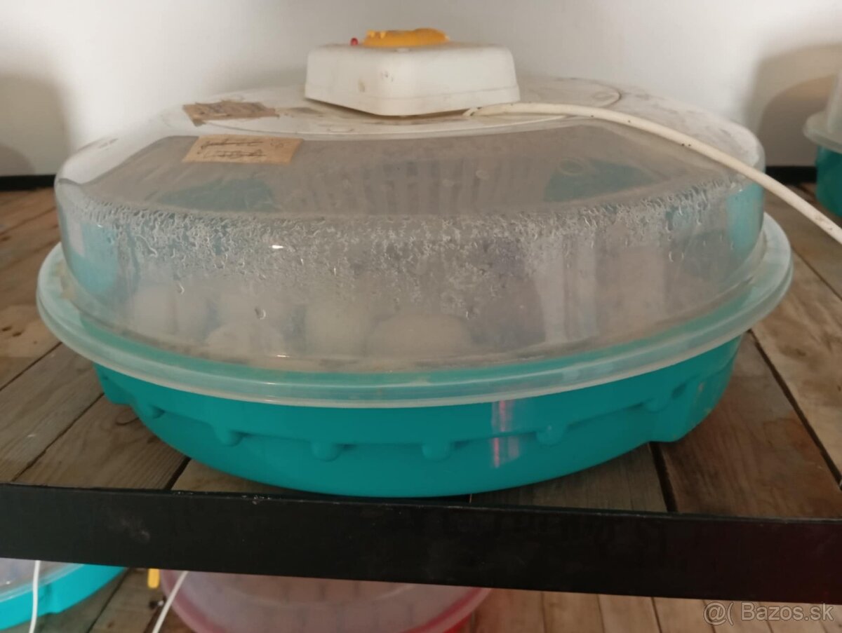 Liahen Puisor IQ 103 TH