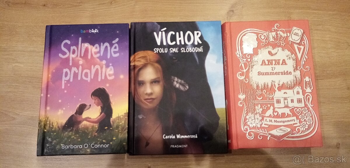 Splnené prianie, Víchor, Anna v Summerside