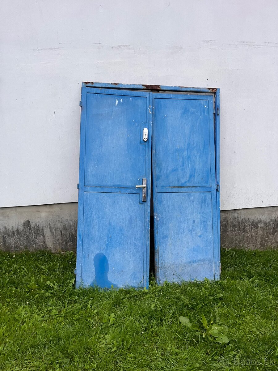 Celokovove a uteplene dvere.