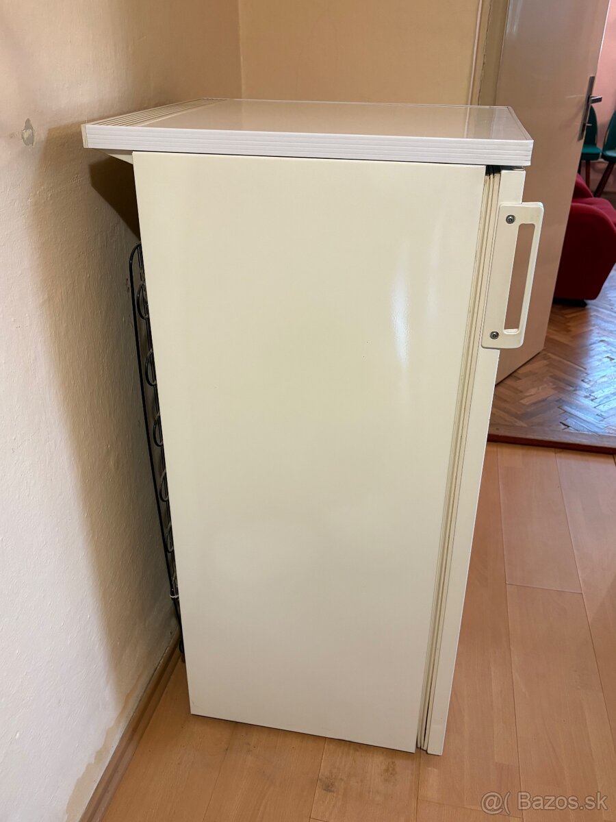 Mraziak International by Gorenje