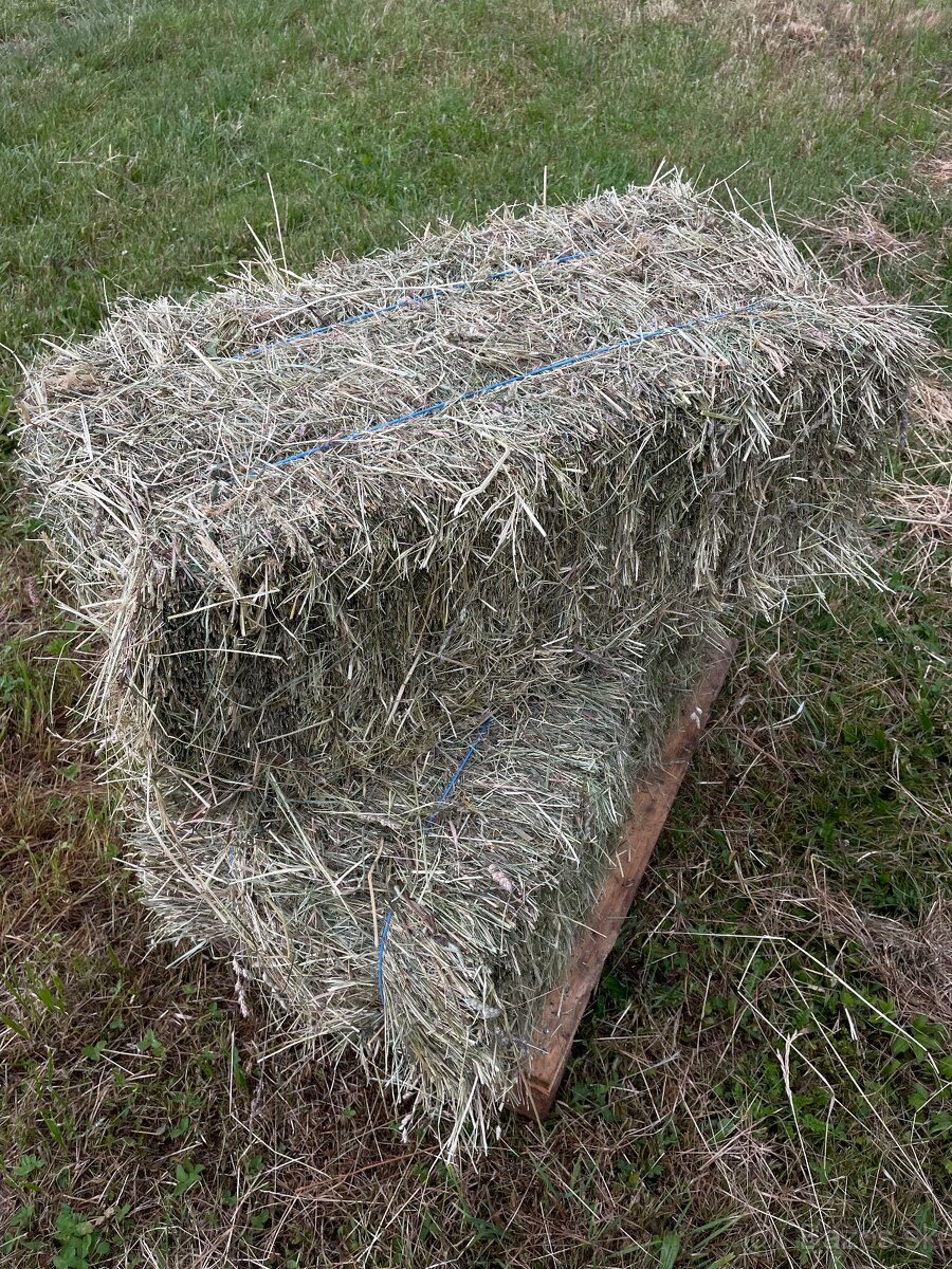 Seno- malé hranaté balíky