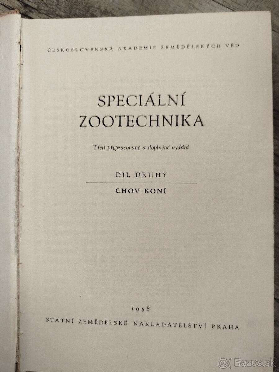 Specialni zootechnika- Chov koni