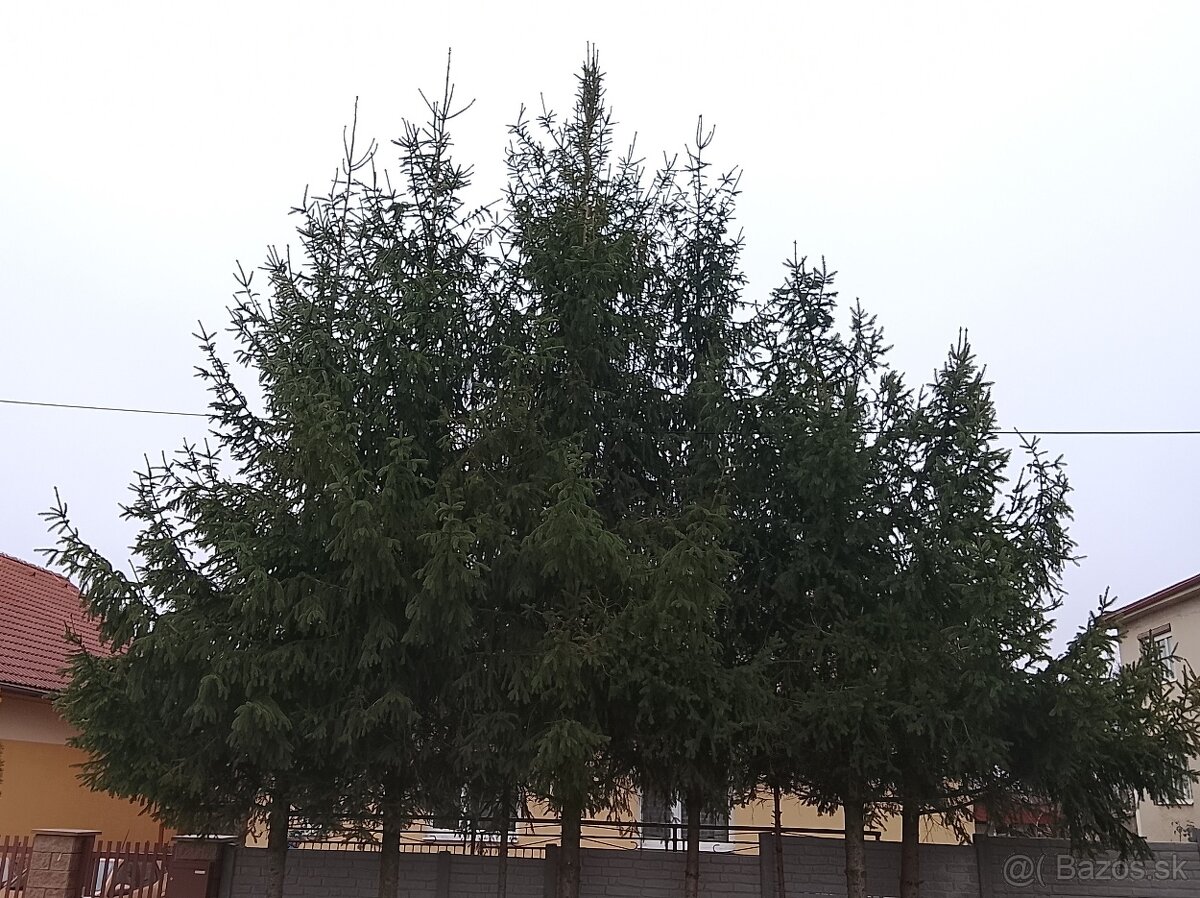 Vianočný stromček