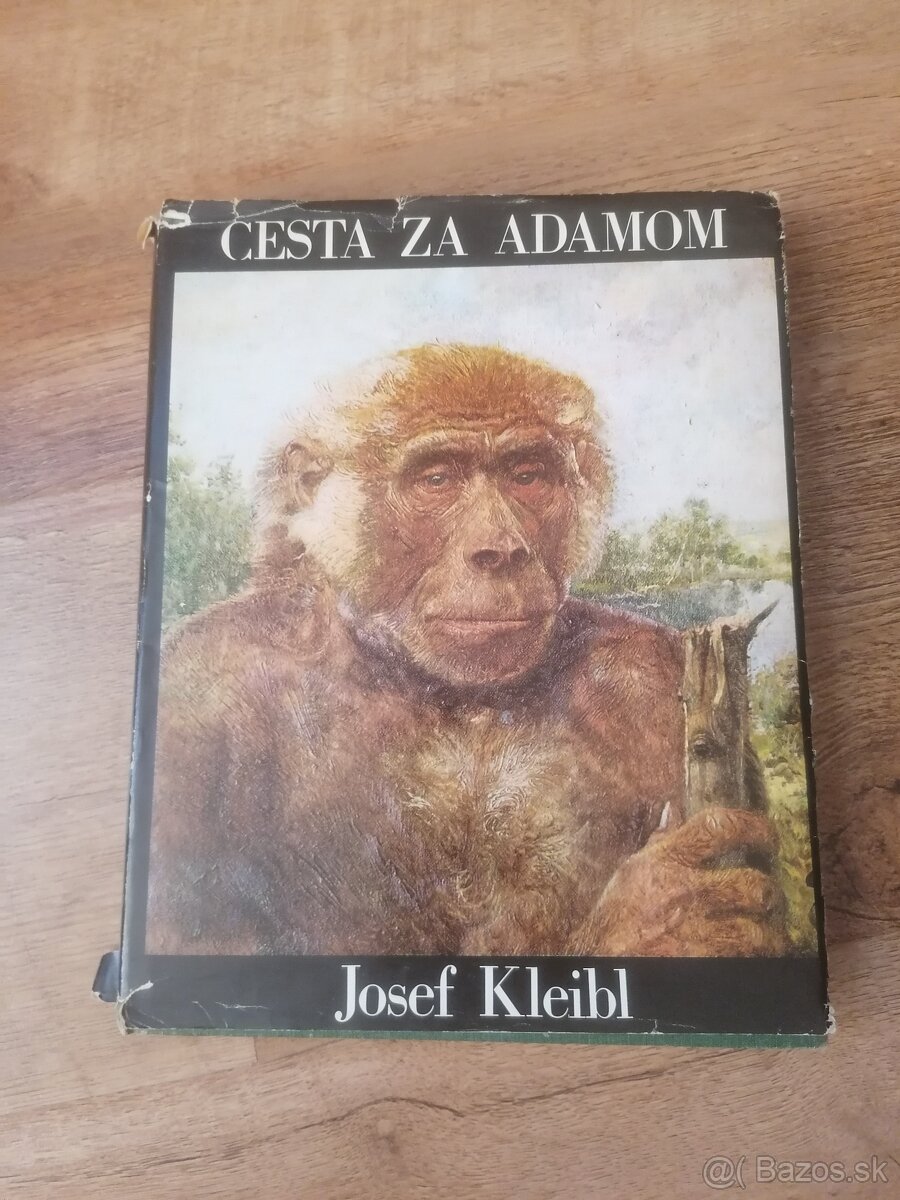 Cesta za Adamom