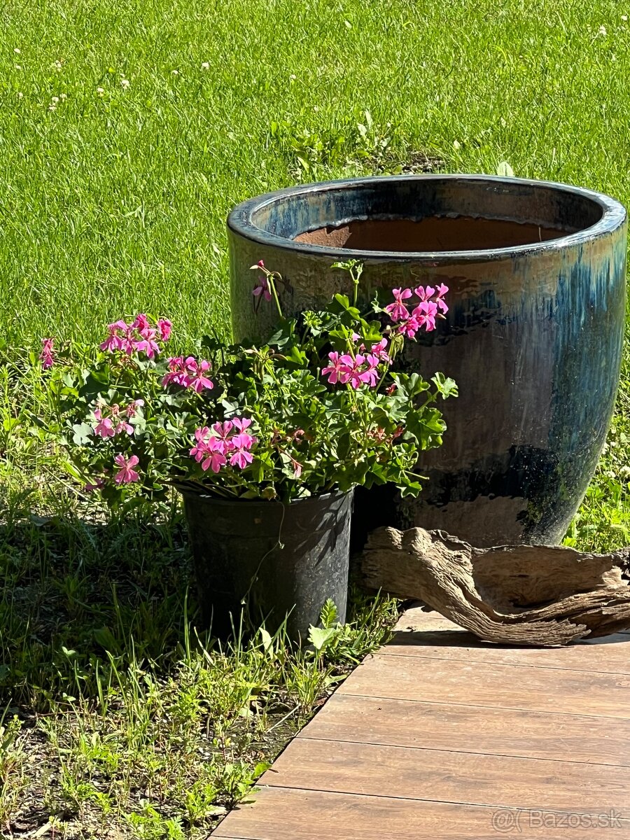 krásny pozemok, 12min.od Bratislavy