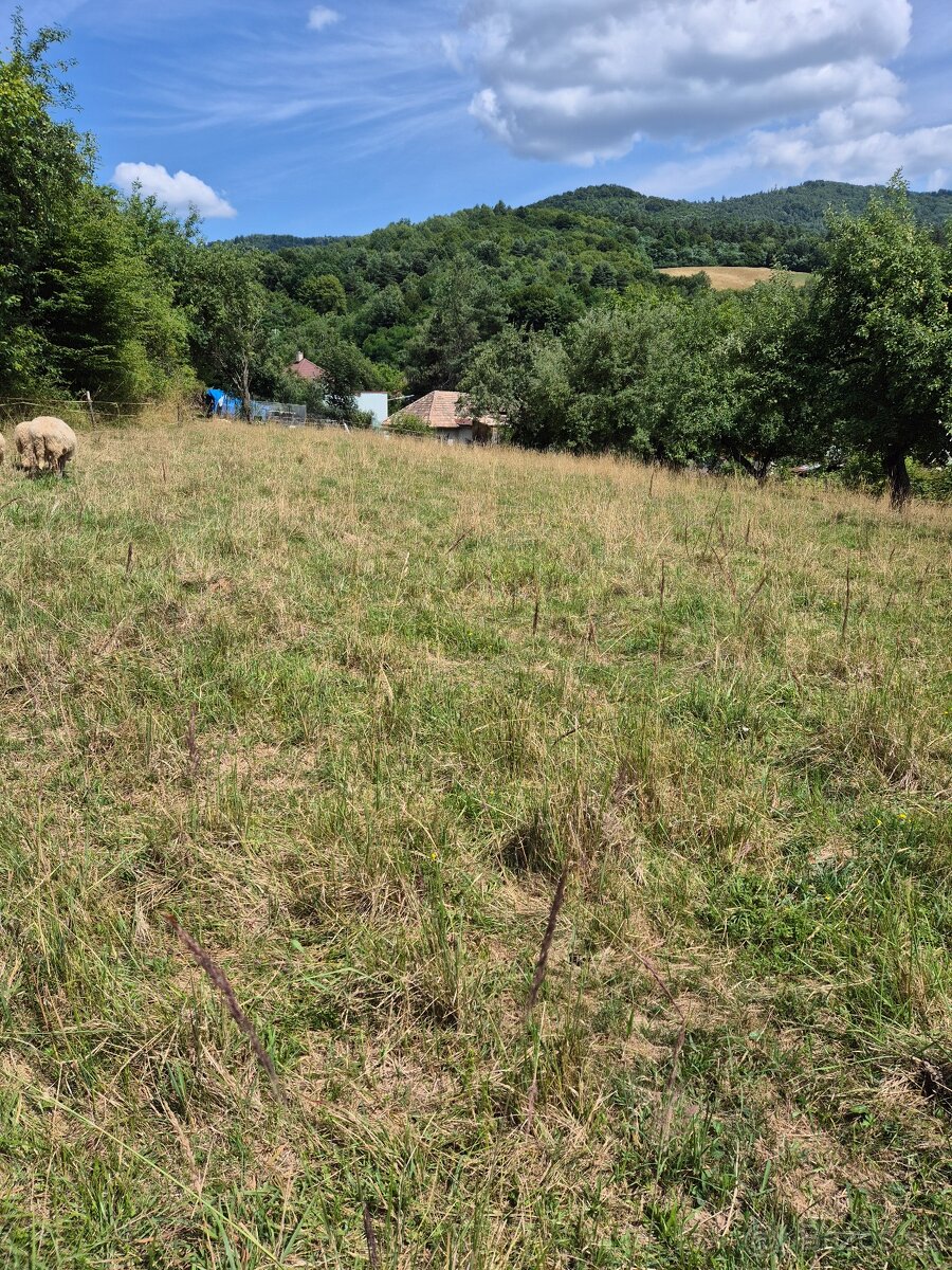 Predaj pozemku s domom v Kokave nad Rim.