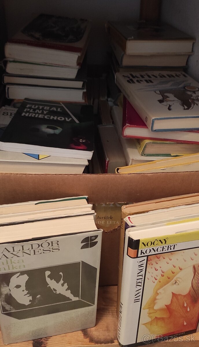 Plná veľká krabica kníh