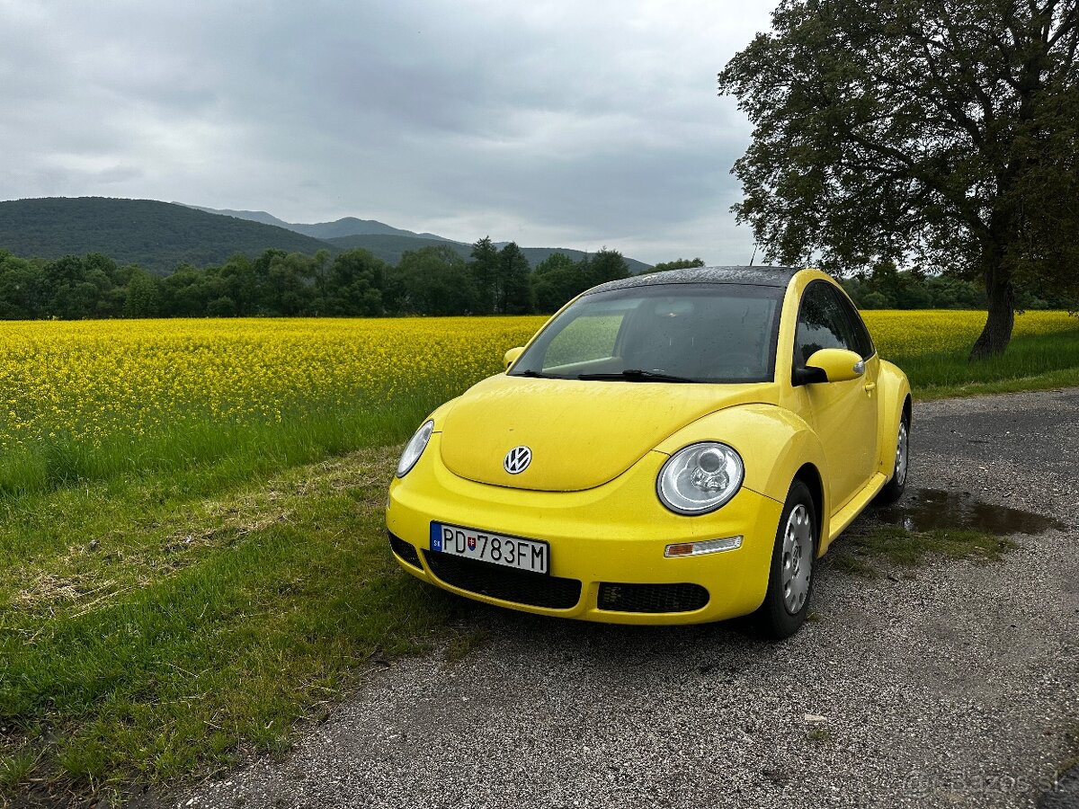 VW New Beetle 2008