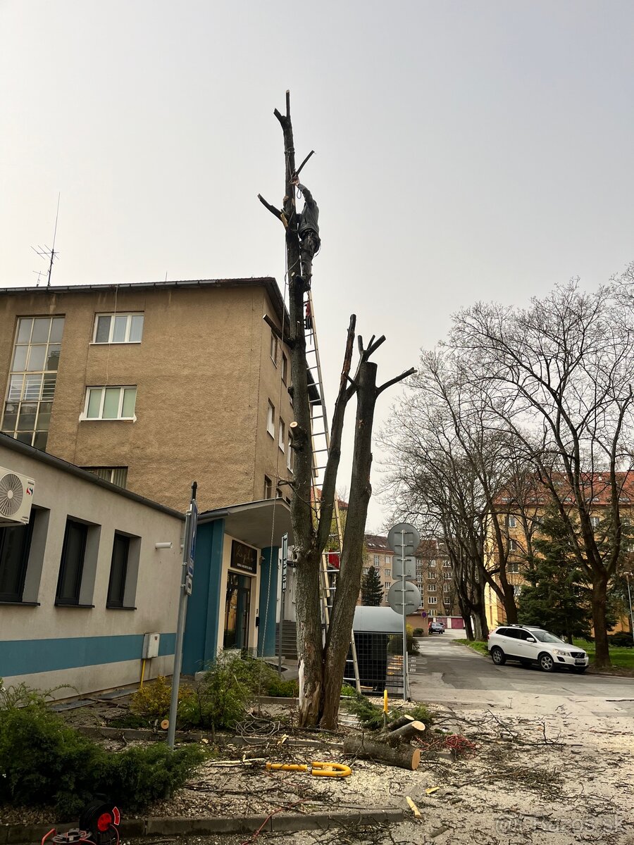 🌳 Orez stromov, výrub stromov, kosenie, odvoz dreva 🌿