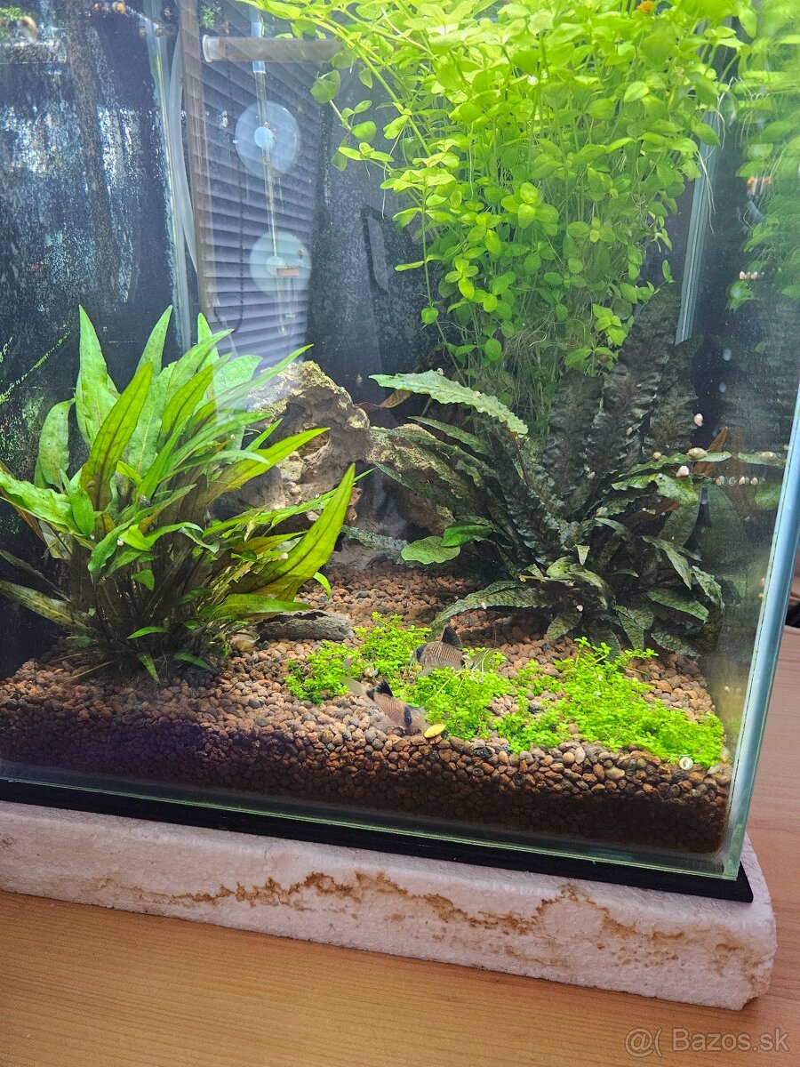 Predám akvárium + príslušenstvo