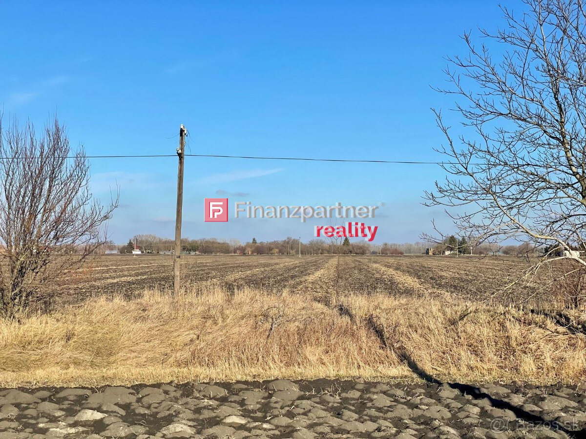 Exkluzívne na predaj orná pôda 9262 m2 Čalovec časť Violín