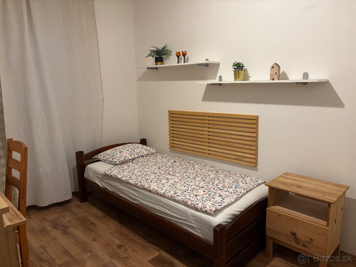 Prenajmem peknu izbu vo veľkom byte s terasou