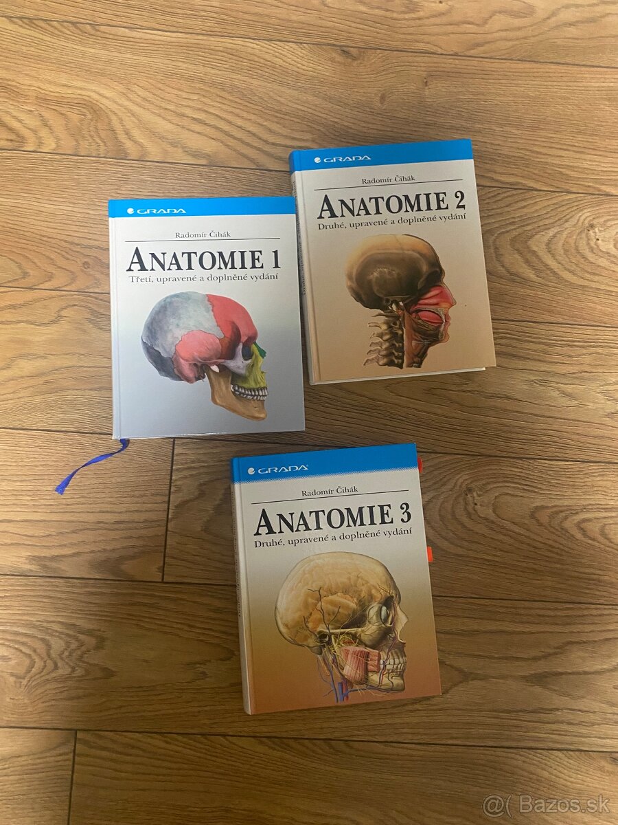 Anatómia Čihák 1,2,3