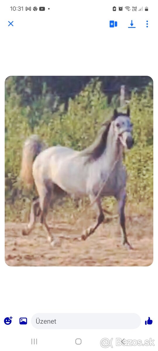 Komarno