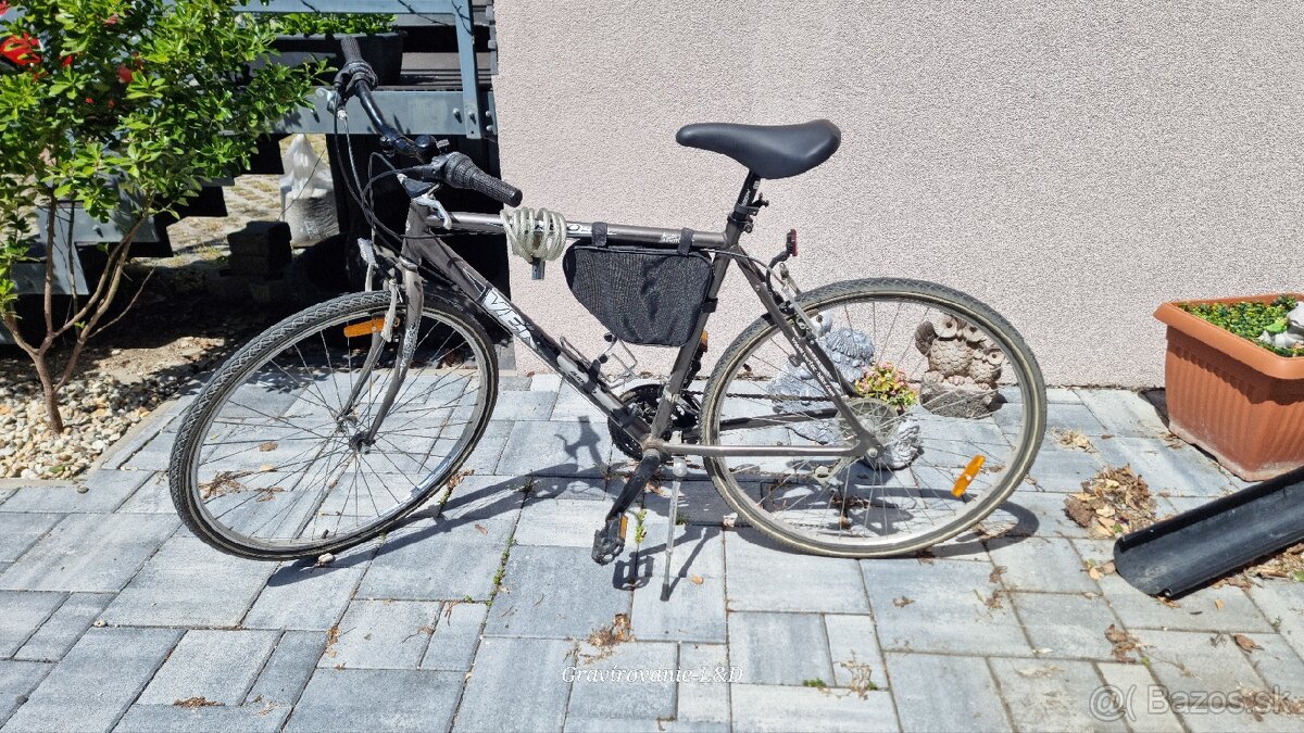 Pánsky bicykel Vertec tr810