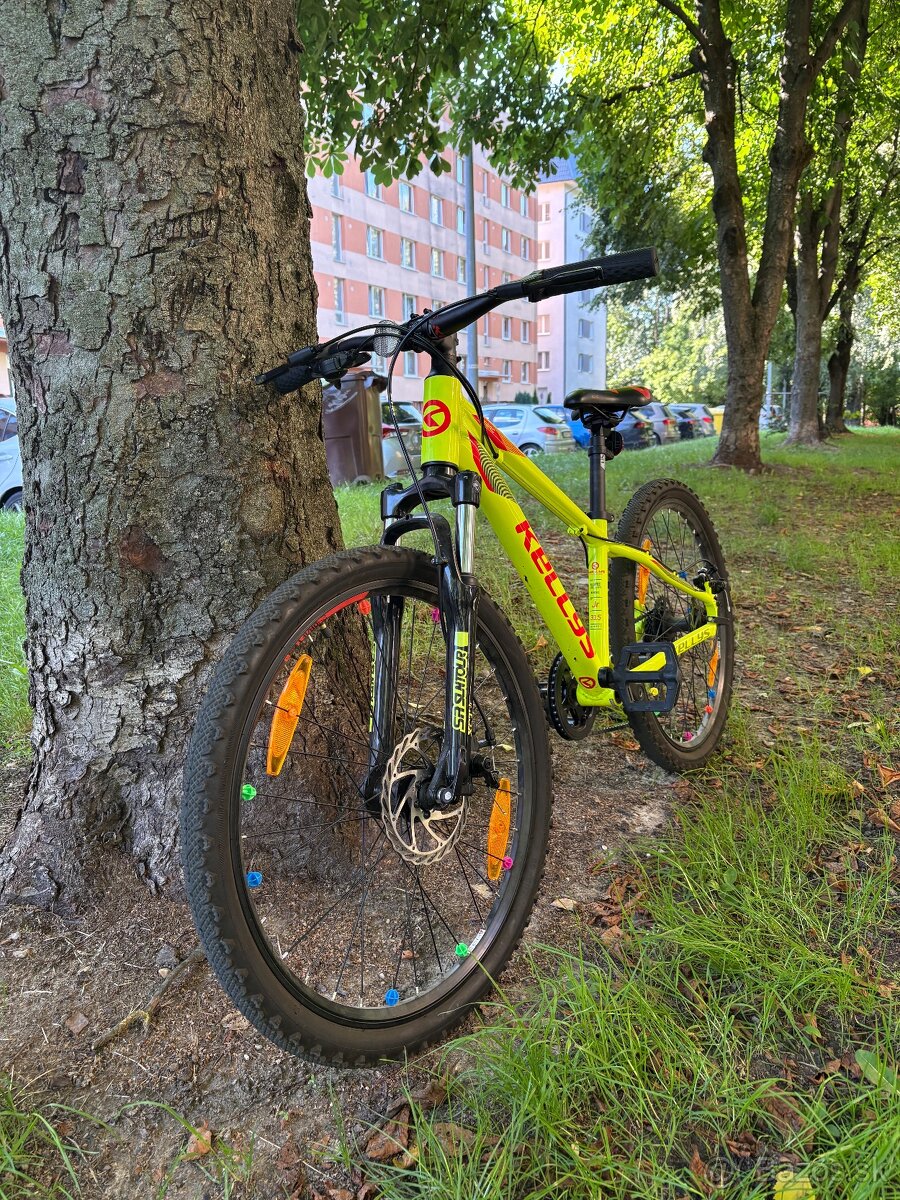 Kellys Marc 50