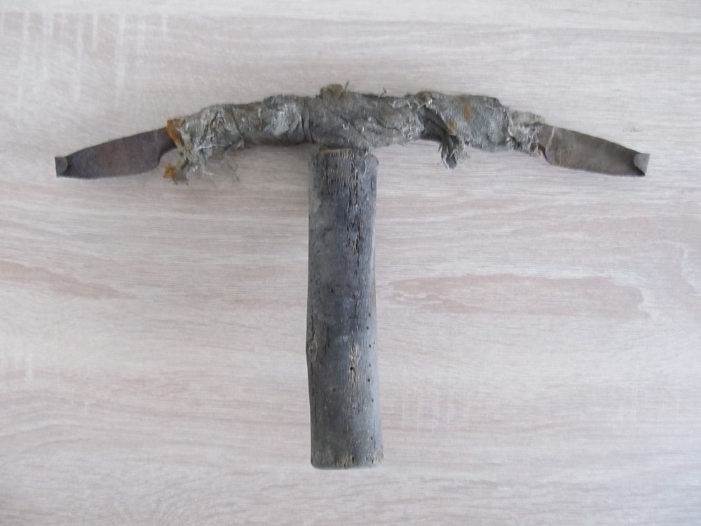 Predám starý cca 95 ročný " pahovník"